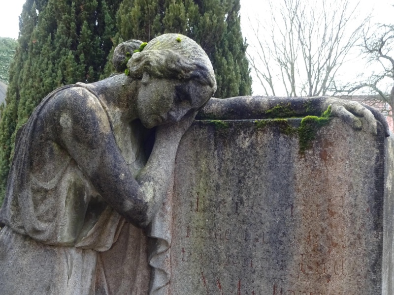 Profilbild von Annelies Lietz