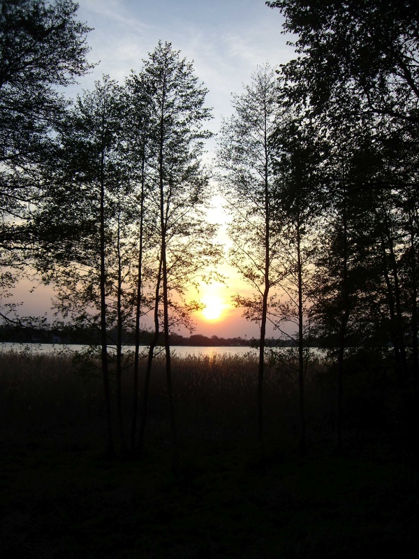 Profilbild von Elsa Drus